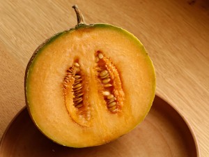 Melon-morguefile