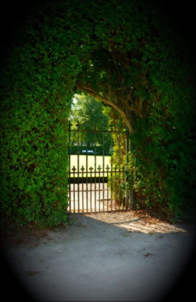 gate-in-hedge_morguefile_alt