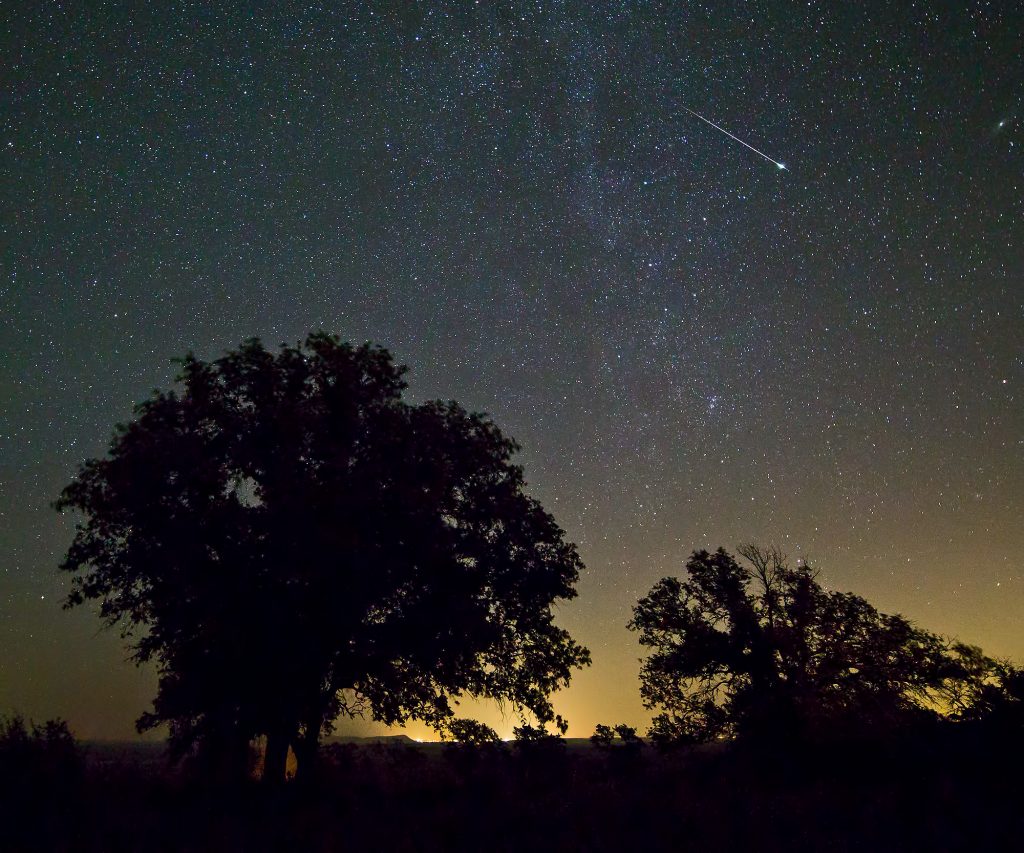 Shooting star across Texas Hill Country CC Ralph_Arveson