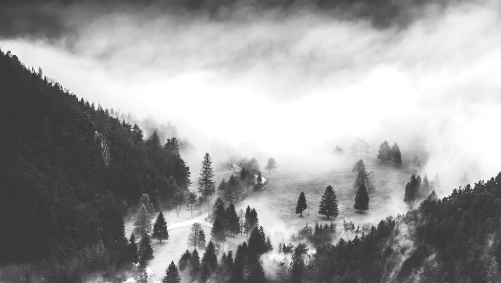 Mist flows in a forested mountain valley.