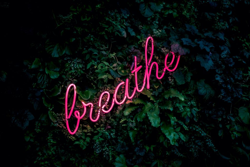 The word 'breathe' in pink neon rests on a bank of green foliage.